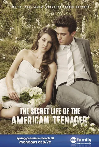 青春密语  第一季 The Secret Life of the American Teenager Season 1 (2008)