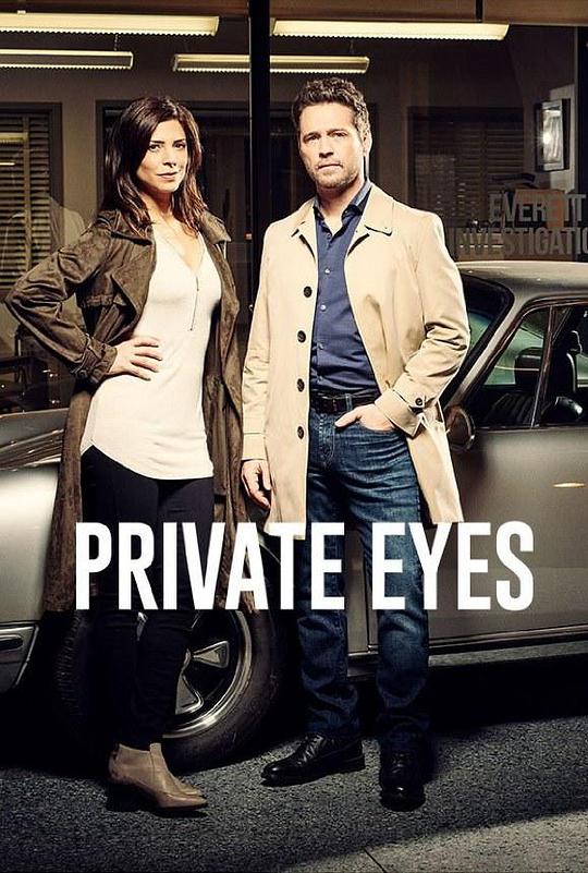 私家侦探 第一季 Private Eyes Season 1 (2016)