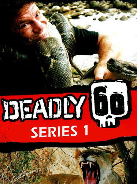 致命的60种生物 第一季 Deadly 60 Season 1 (2009)