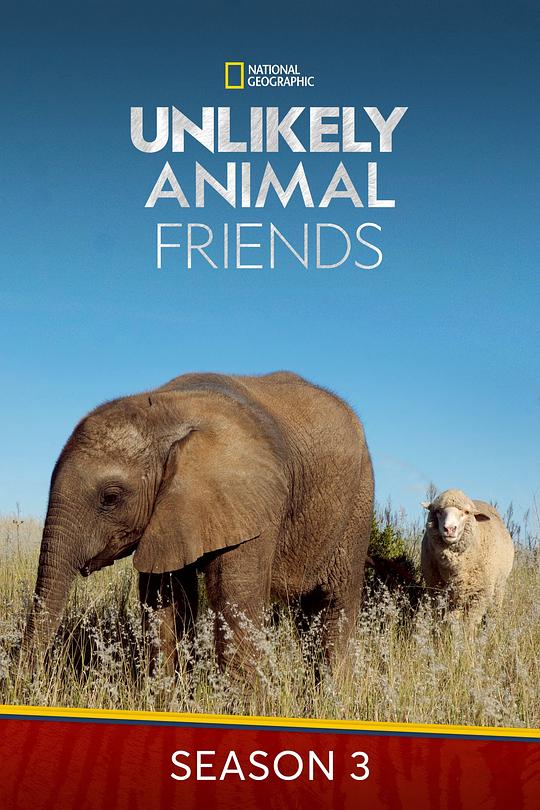 不可思议的好朋友 第三季 Unlikely Animal Friends Season 3 (2012)