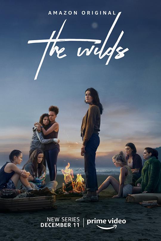 荒野 第一季 The Wilds Season 1 (2020)