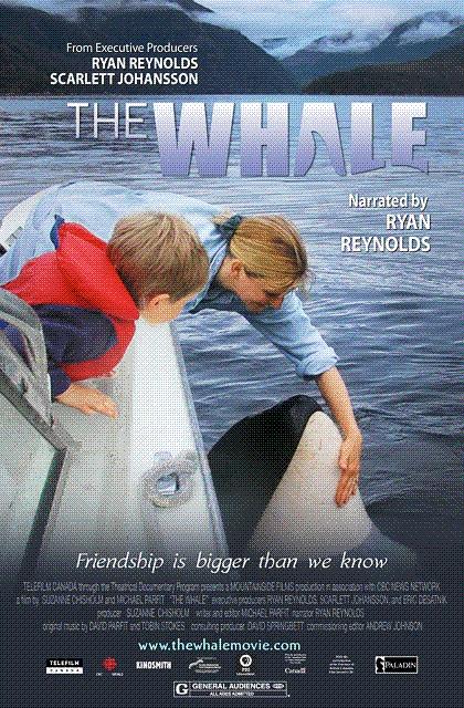 虎鲸 The Whale (2010)