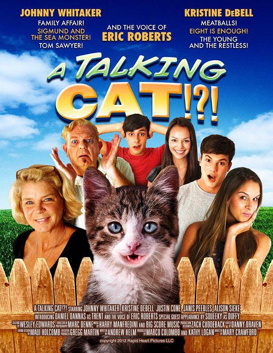 一只会说话的猫 A Talking Cat!?! (2013)