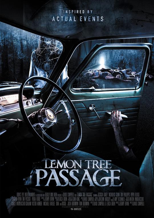 柠檬树小道 Lemon Tree Passage (2014)