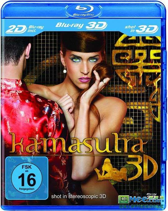 印度爱经3D Kamasutra 3D (2012)