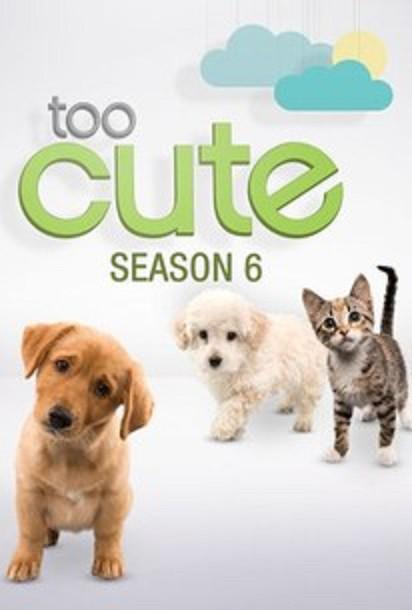 萌宠成长记 第六季 Too Cute! Season 6 (2016)