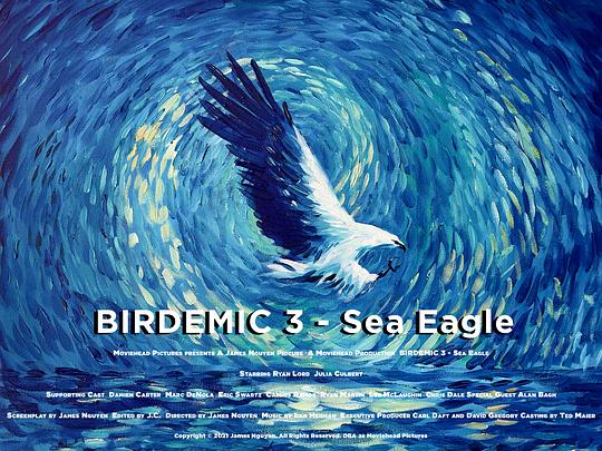 群鸟3：海雕来袭 Birdemic 3: Sea Eagle (2022)