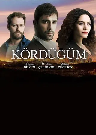 爱情交叉点 Kördügüm (2016)