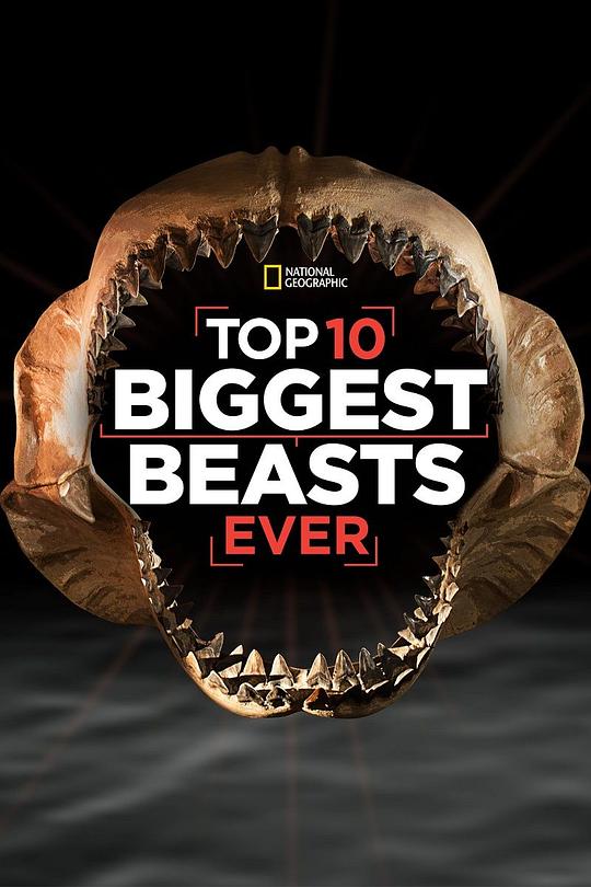 十大巨兽排行榜 Top 10 Biggest Beasts Ever (2015)