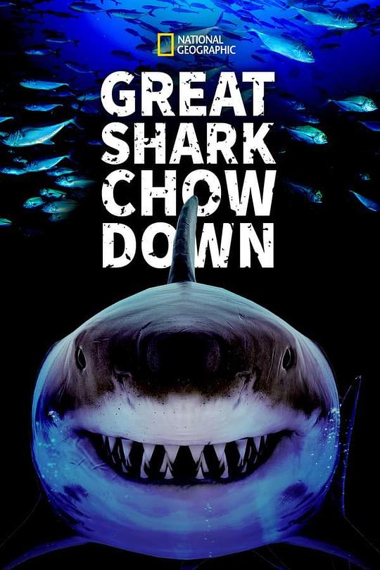 鲨鱼进食秀 Great Shark Chow Down (2019)