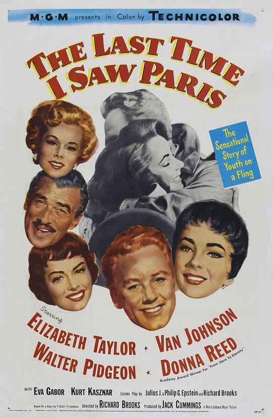 我最后一次看见巴黎 The Last Time I Saw Paris (1954)