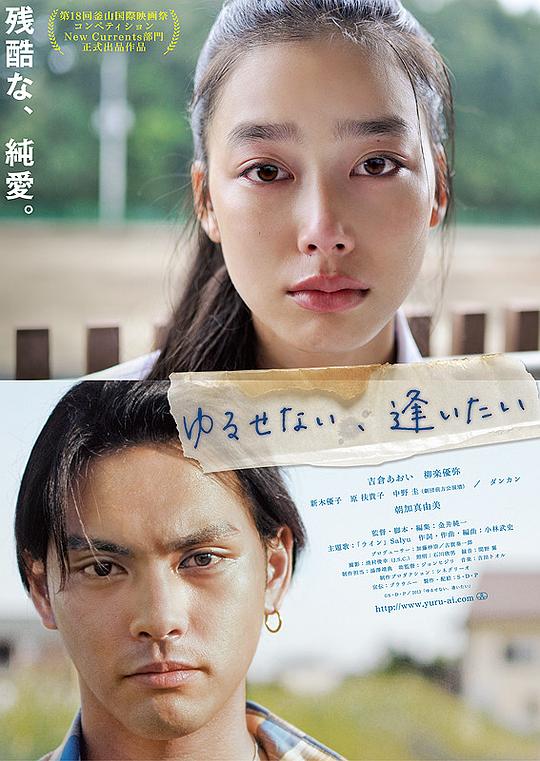 能不能原谅你，我想想看 ゆるせない、逢いたい (2013)