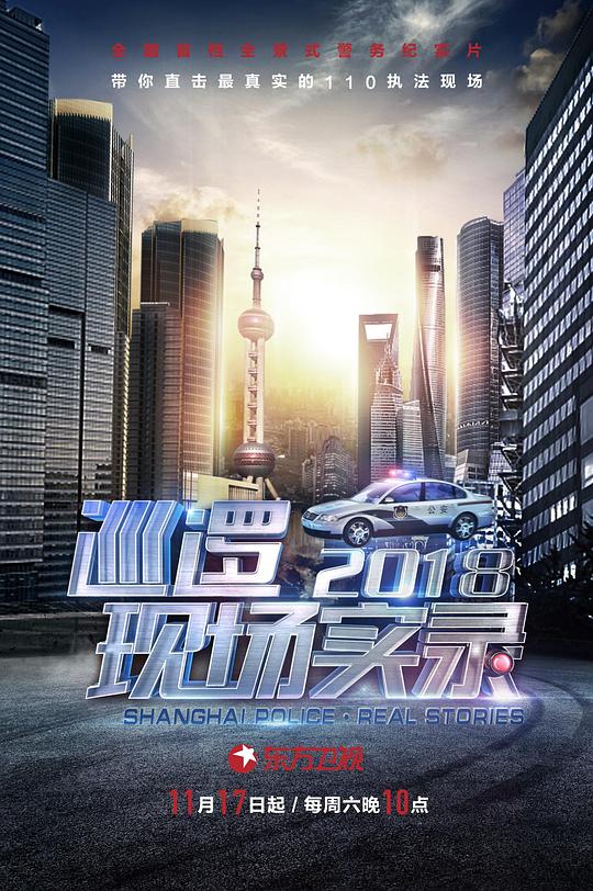 巡逻现场实录2018  (2018)