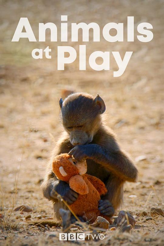 动物玩耍 Animals at Play (2019)