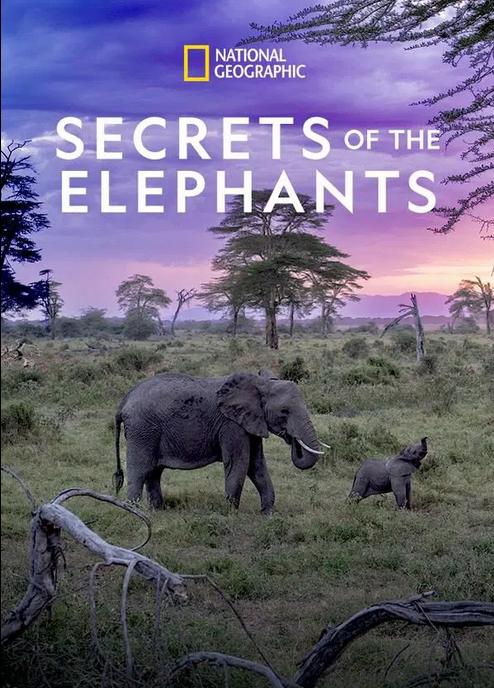 Secrets of the Elephants Season 1 (2023)