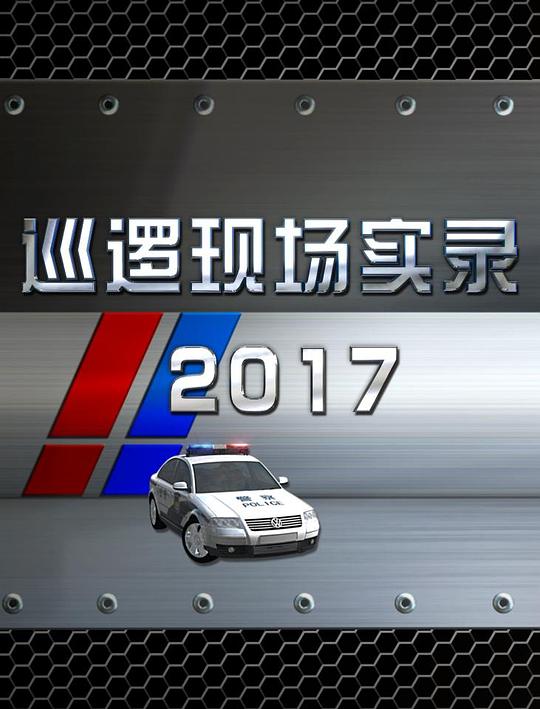 巡逻现场实录2017 (2017)