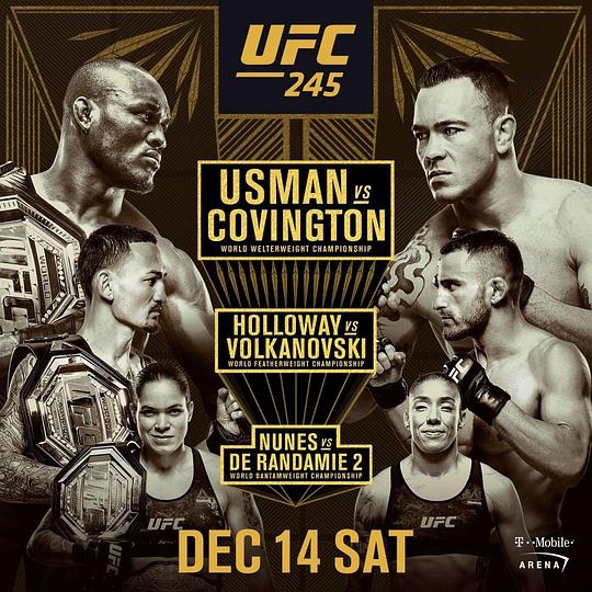 UFC 245：乌斯曼vs考文顿 (2019)